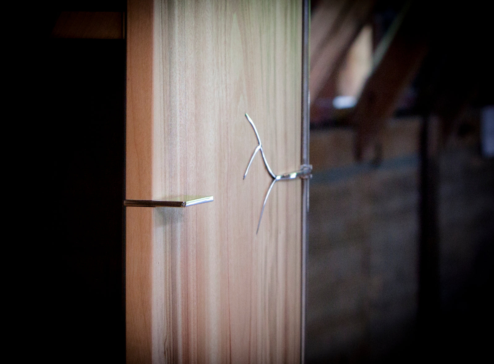 Camphor laurel cabinet by Deka